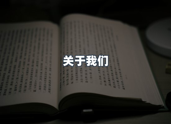 专业团队